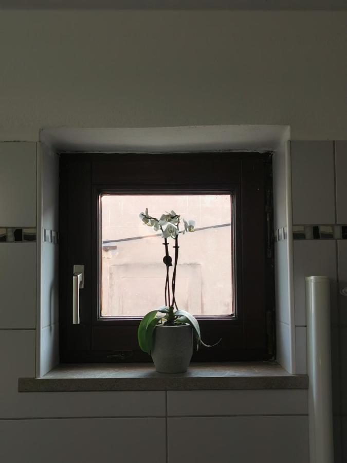 Istrian Old Town Apartment Κόπερ Εξωτερικό φωτογραφία